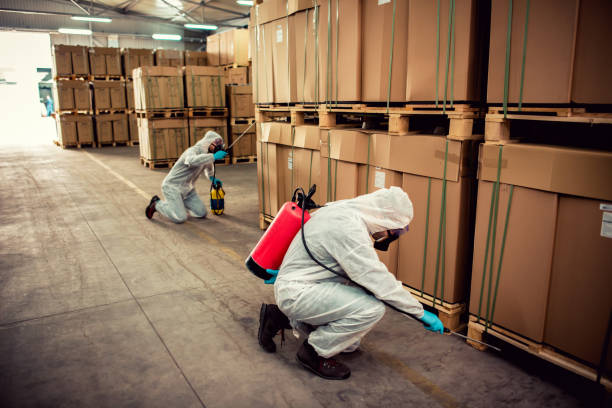 Best Mosquito Control Services  in Lake City, MN