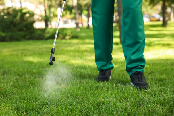 Best Best Pest Control Companies  in Lake City, MN
