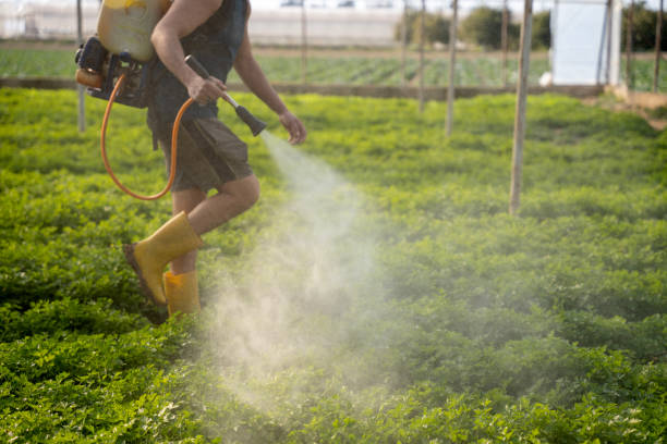 Pest Control for Restaurants in Lake City, MN