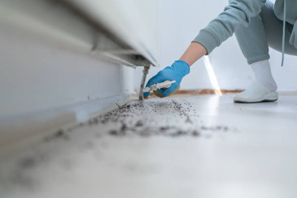 Best Residential Pest Control  in Lake City, MN