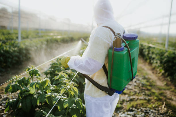 Best Local Pest Control Services  in Lake City, MN